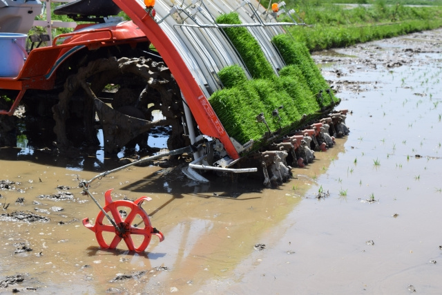 海老名市にあるかながわ農業アカデミーとは？概要と学校の特徴をご紹介