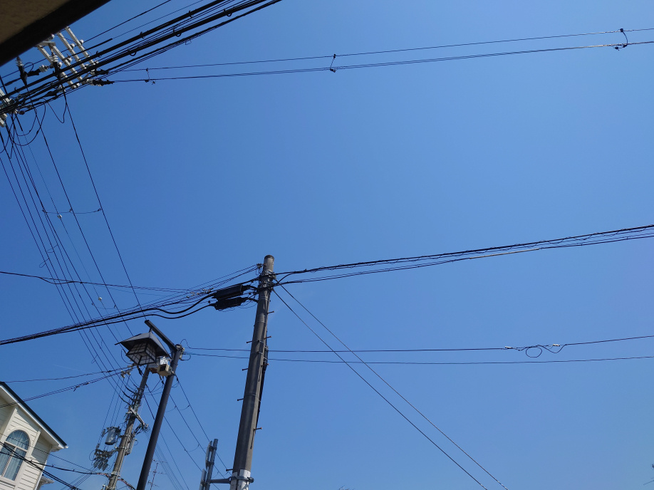 GW～のお仕事( ;∀;)の画像