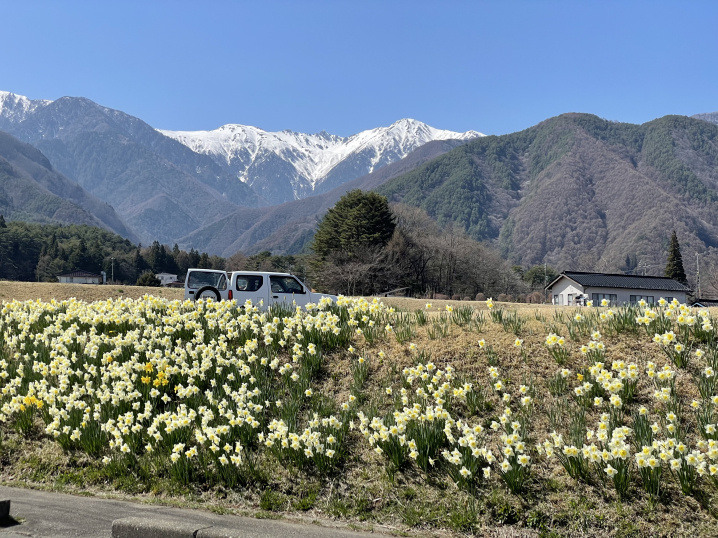 駒ヶ根市過去最高　ふるさと納税　5億9300万円の画像