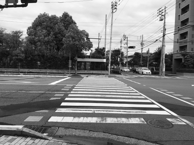 高松市にある香川大学とはどんな学校？概要や特徴をご紹介の画像