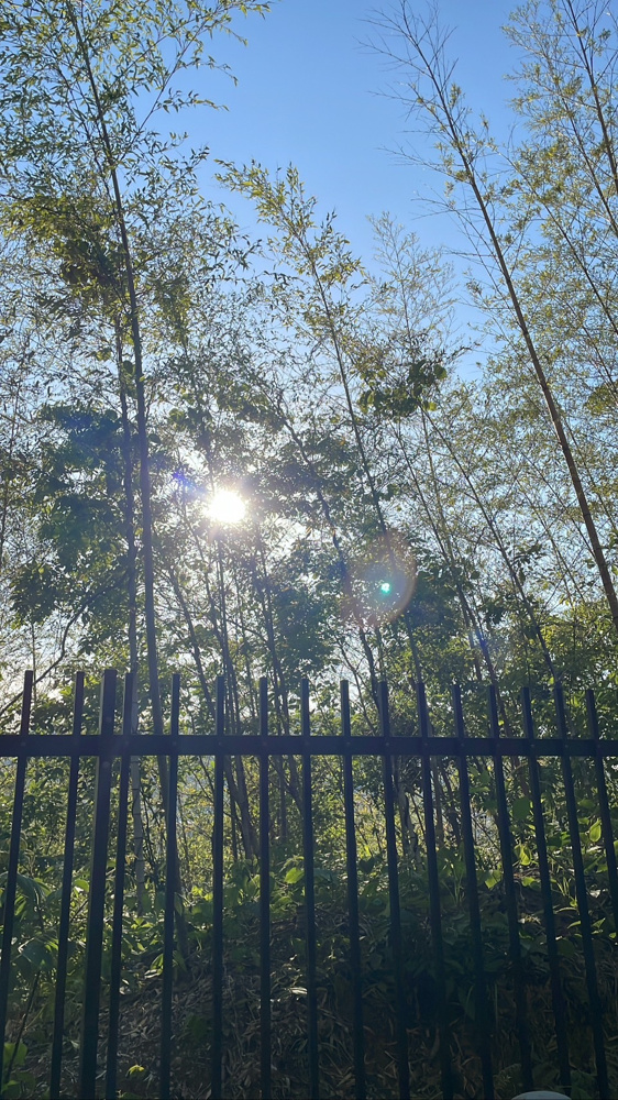 心が洗われます笑の画像