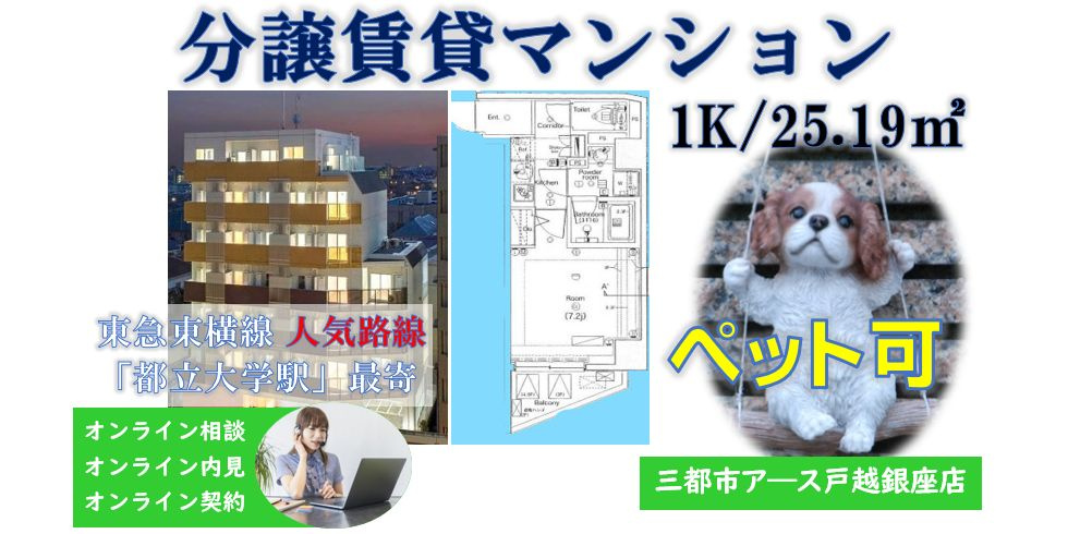 【PREMIUM CUBE都立大学】