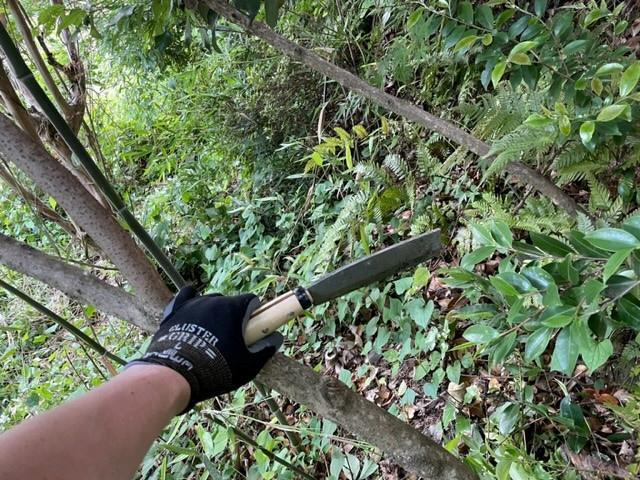 【あま市の不動産売却】境界杭探しの画像