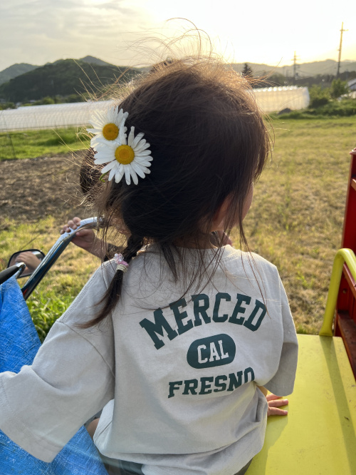 田舎のいいところの画像