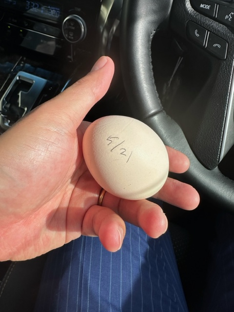 令和5年も下半期に入りますね(;・∀・)の画像