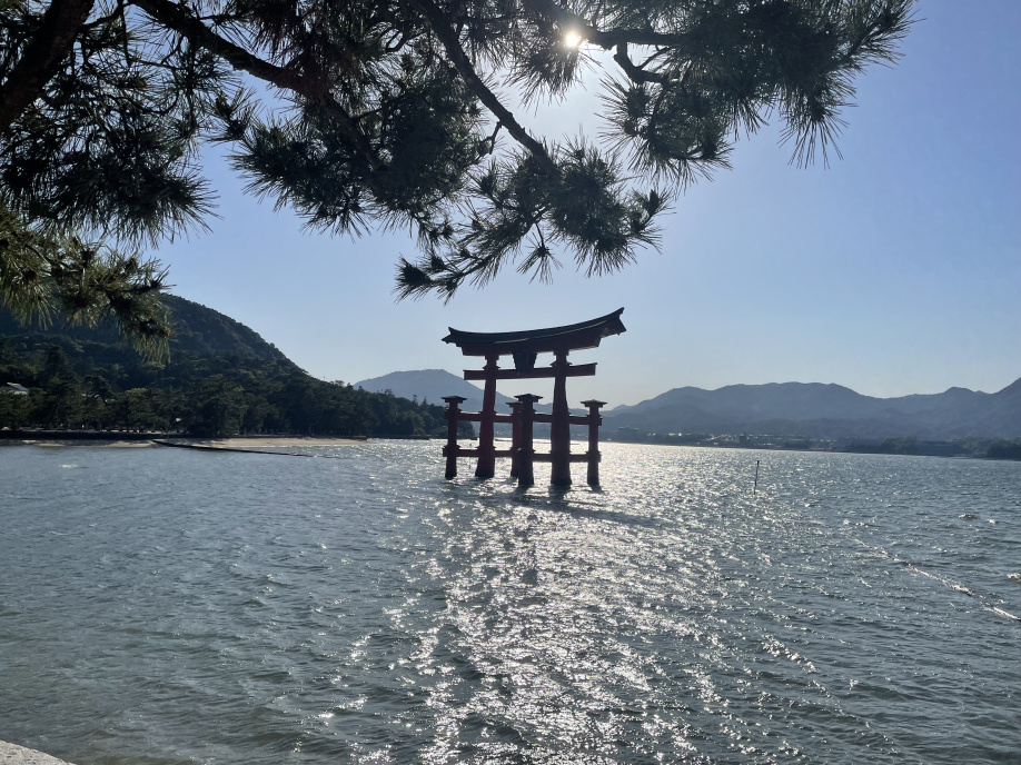 帰省してきましたの画像