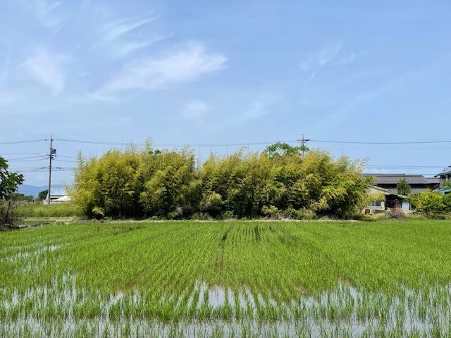 【あま市の不動産売却】のどかの画像