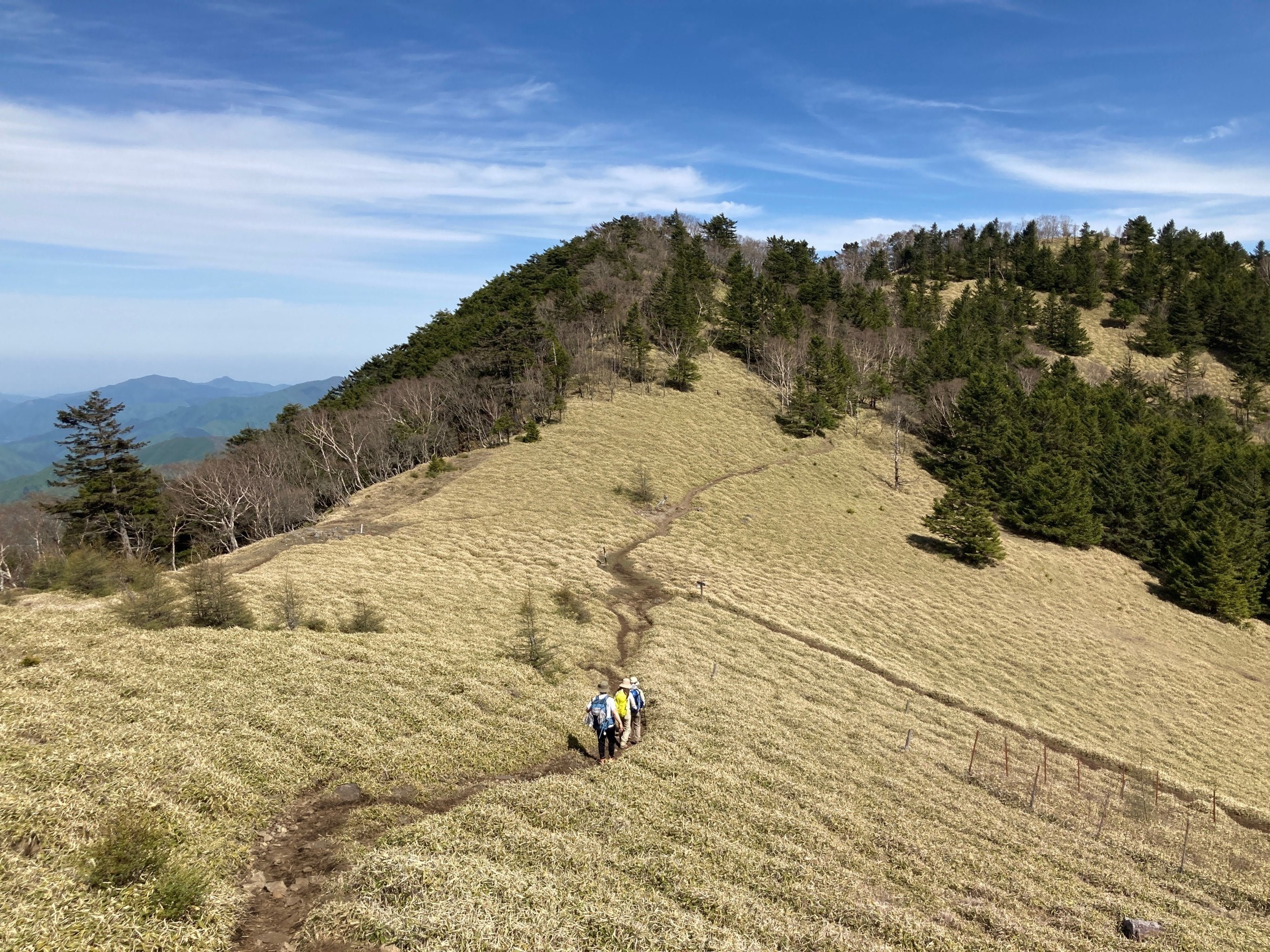 山登りの画像