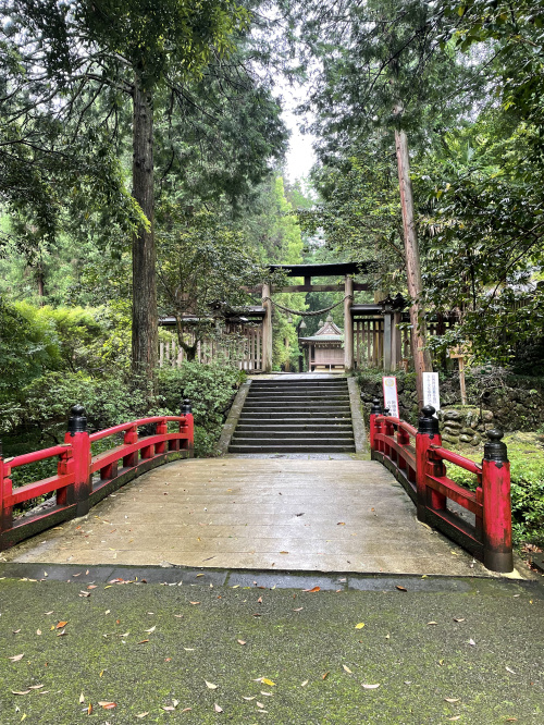 神社参拝の画像
