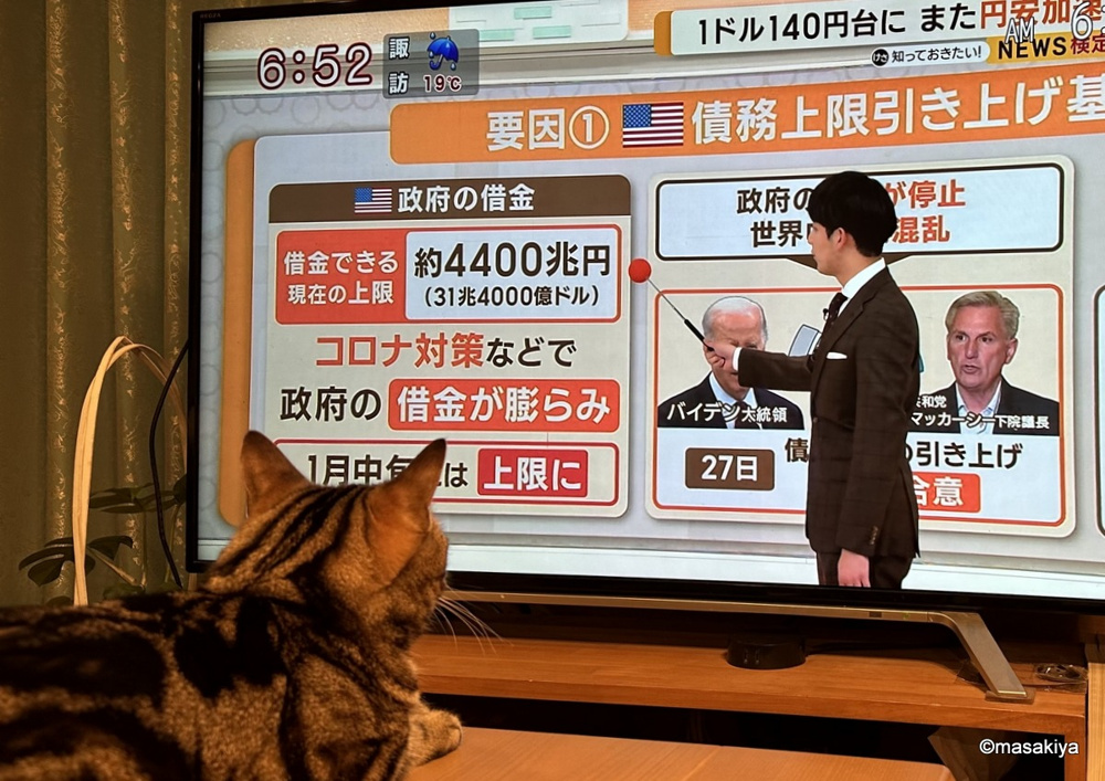 温泉の画像