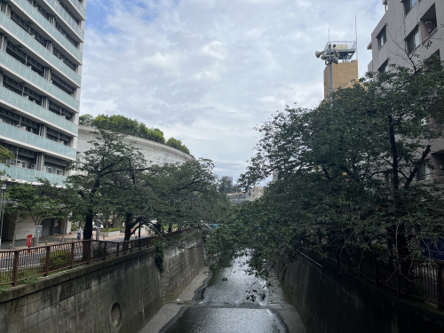 池尻大橋はどんな街？渋谷と三軒茶屋の間なのに驚くほど静か｜blue bloodedの画像