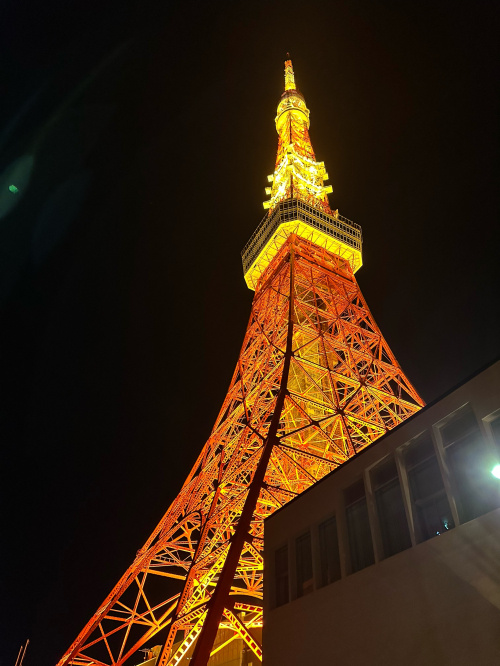 あなたはどっち派？？の画像
