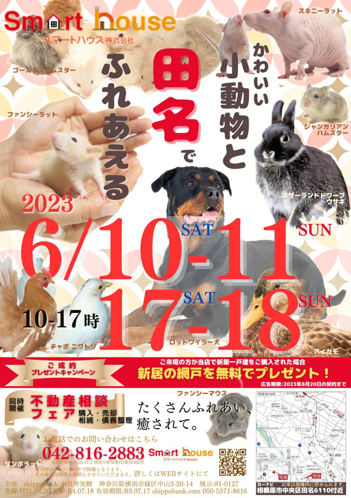 小動物ふれあいイベント開催！同時開催「不動産相談フェア」　新築戸建・建築条件なし売地の画像