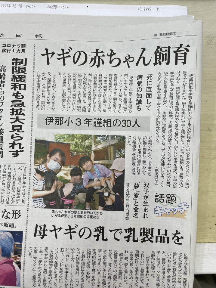 伊那小学校3年謹組　ヤギの赤ちゃん飼育の画像