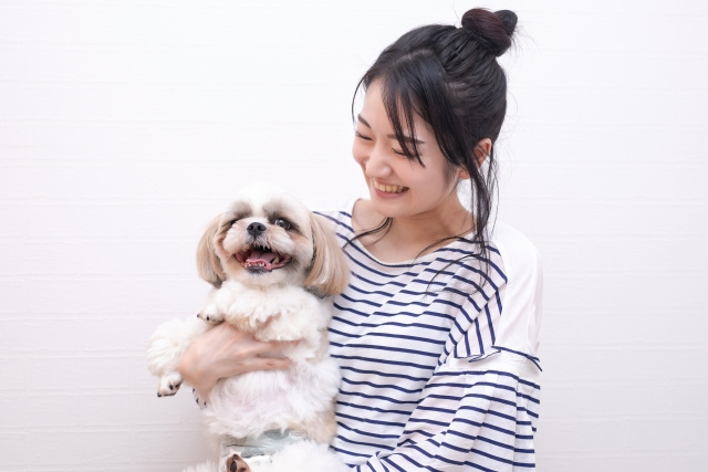 祐天寺駅周辺にある「犬猫食堂 紫陽花」の概要と特徴をご紹介の画像