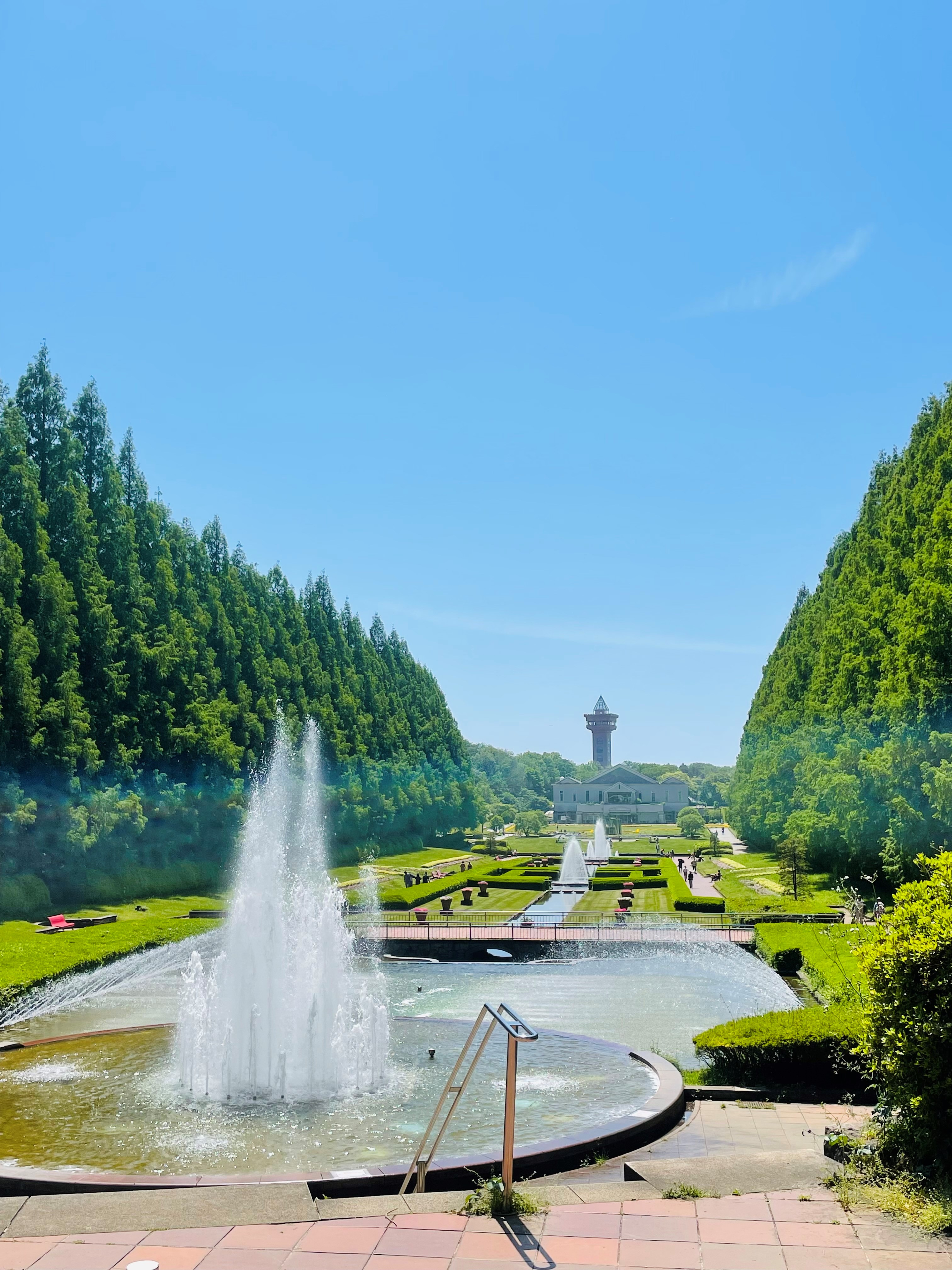 公園の画像