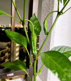 癒しの時間です。の画像