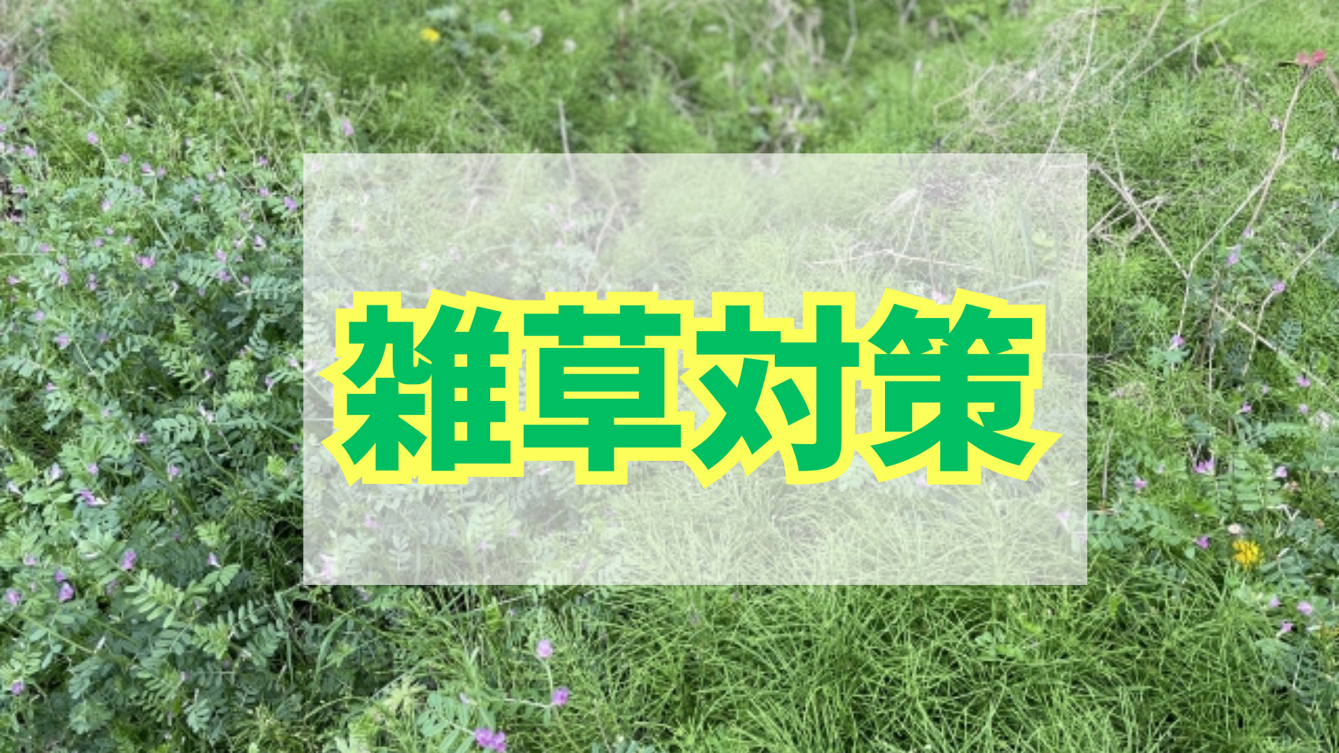 ブログ更新　自宅でするべき雑草対策3選の画像