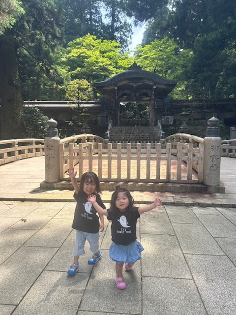 今年も残すは半年、、(;・∀・)の画像