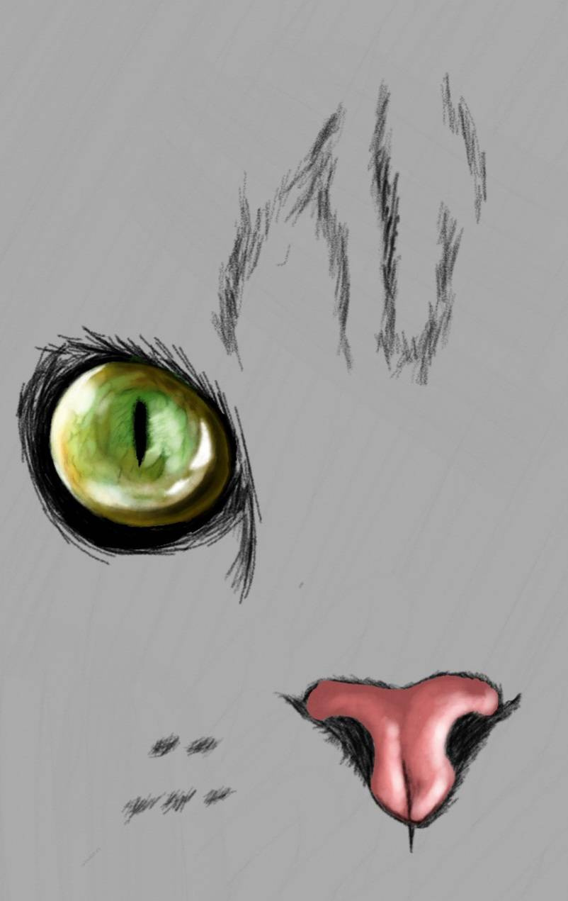 趣味☆彡の画像