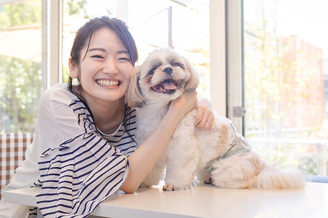 こうべ動物共生センターを神戸市北区に引っ越し検討中の方へご紹介の画像
