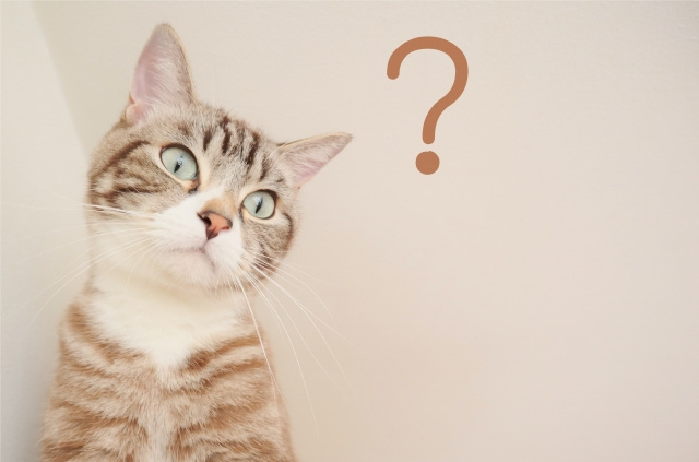 ペット可賃貸物件でも原状回復の義務はある？特約についてもご紹介