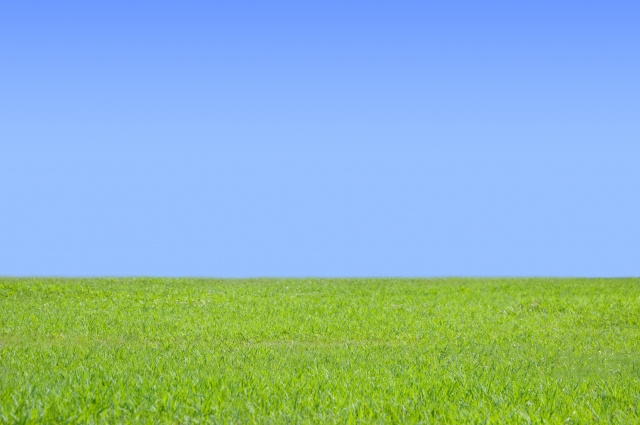 田舎で土地活用が難しいのはなぜ？活用方法や注意点について解説の画像