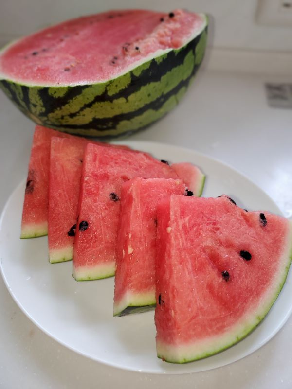 今年もこの季節！の画像