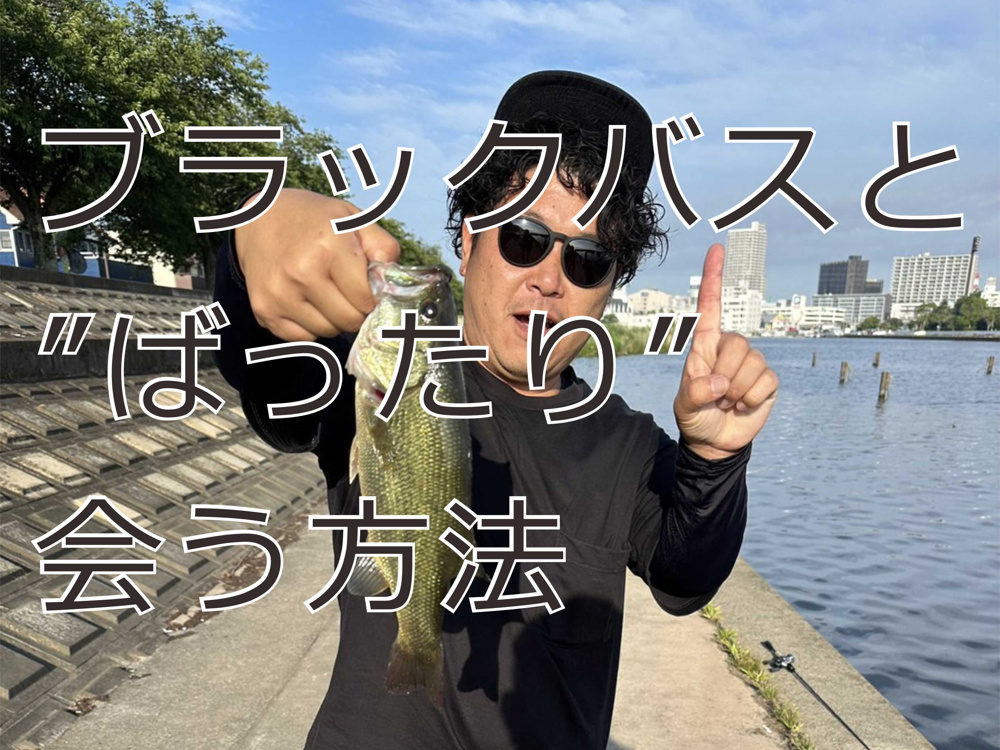 ６月２２日：久しぶりの友人とばったり会った話しの画像