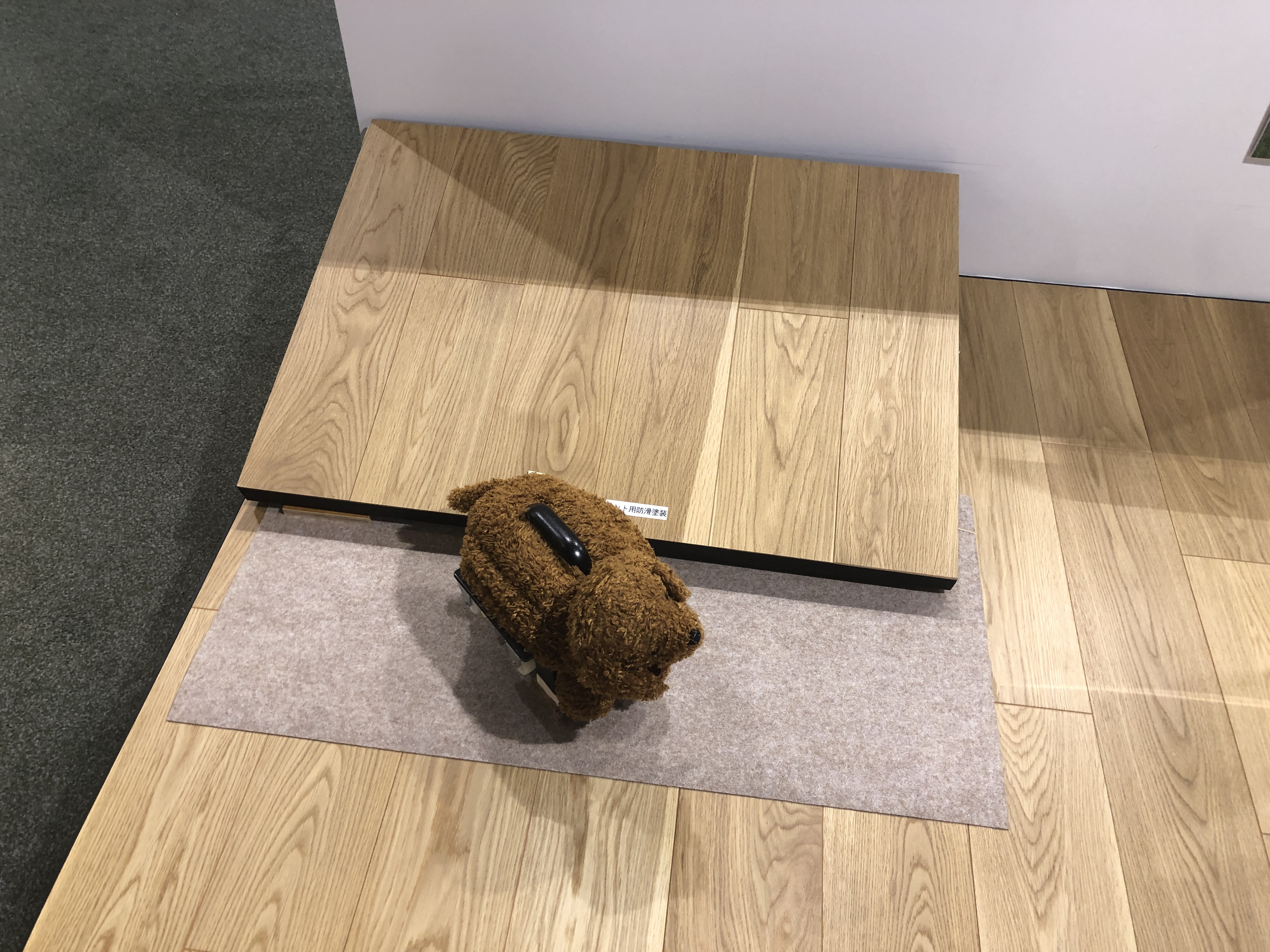 ライブナチュラルfor Dog