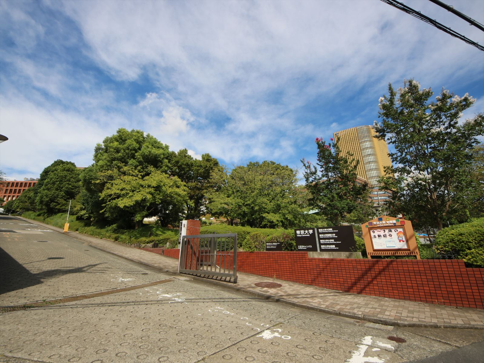 帝京大学