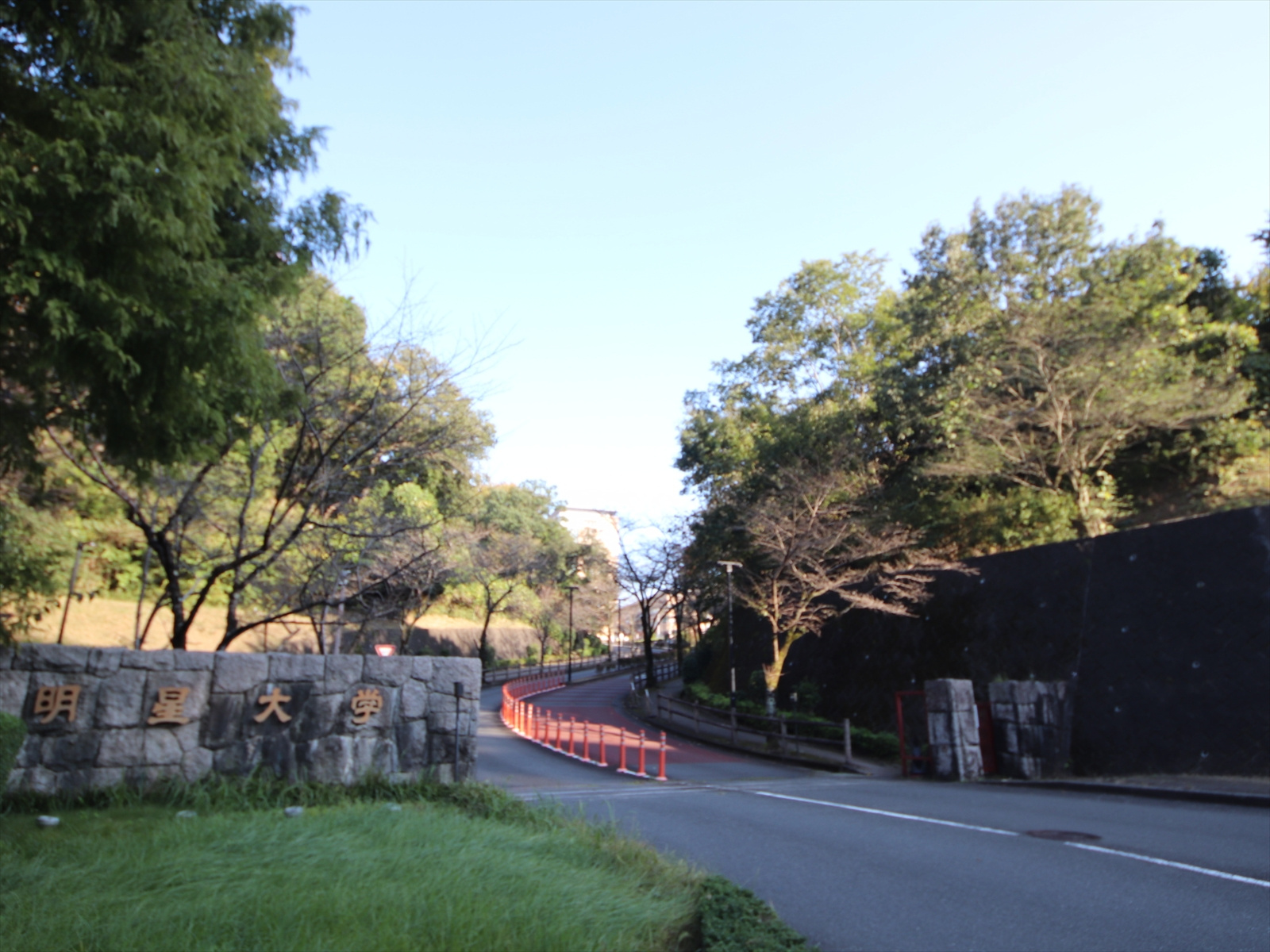 明星大学