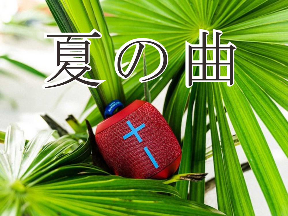 ６月２９日：夏に聞きたいの画像