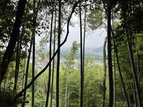 登山しましたの画像