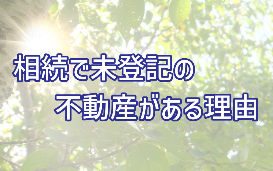 相続で未登記の不動産がある理由の画像