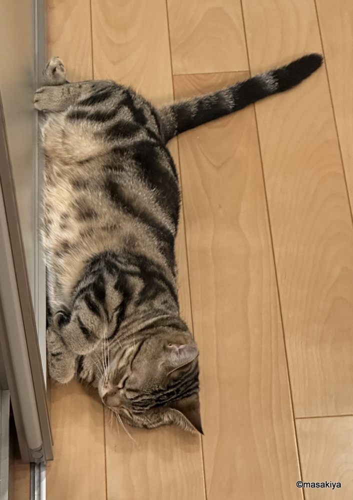 真剣な眼差しの画像