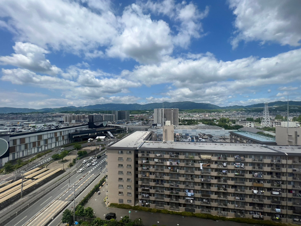 出ました！の画像
