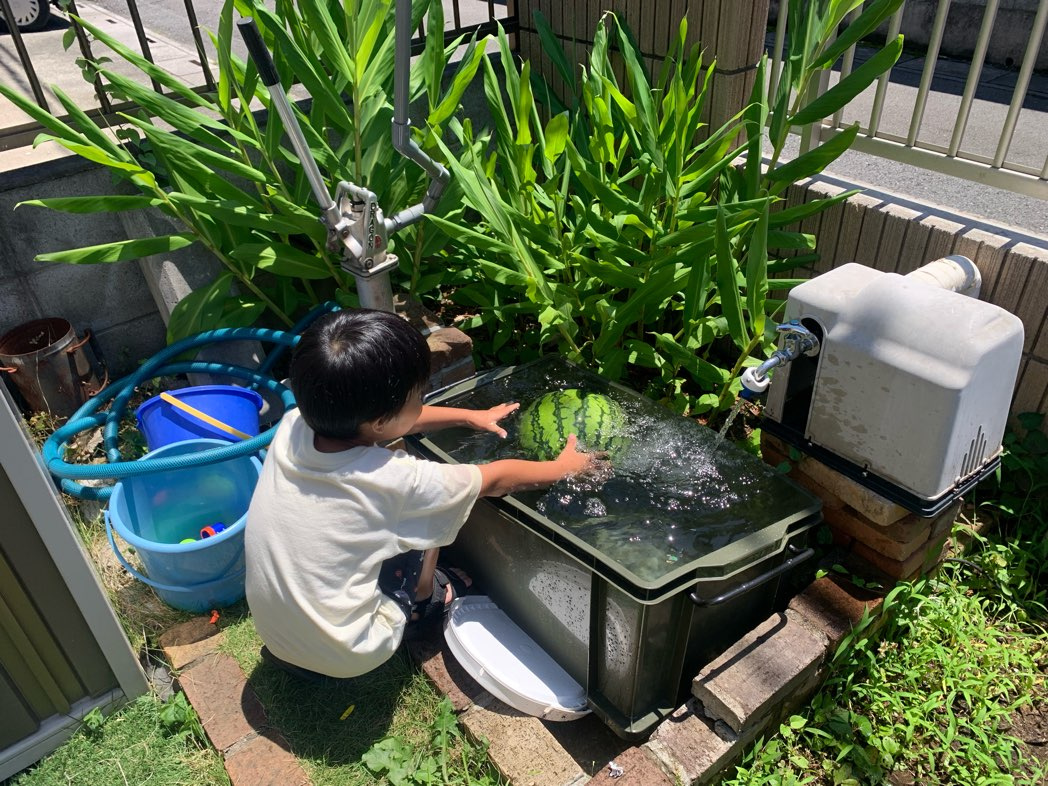 夏遊びの画像