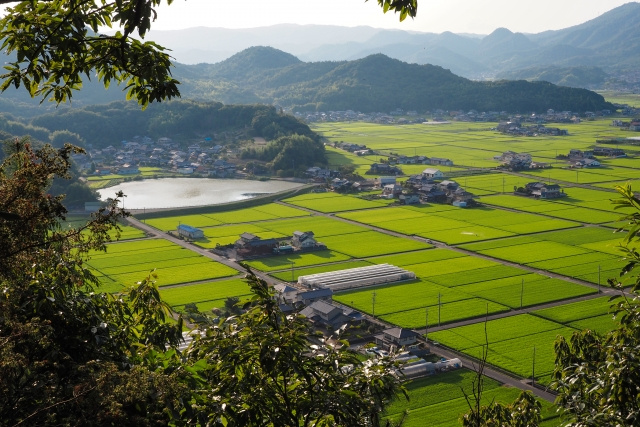 市街化調整区域とは？区域内の不動産は買取が適する理由と手放すコツも紹介の画像