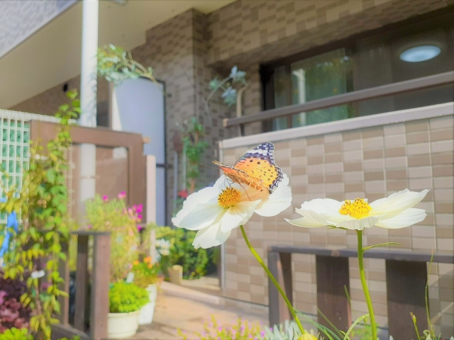 マンションの1階は売りにくい？メリットを活用して売却するコツをご紹介の画像