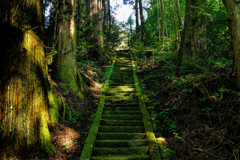 三豊市三野町にある「津嶋神社」をご紹介の画像