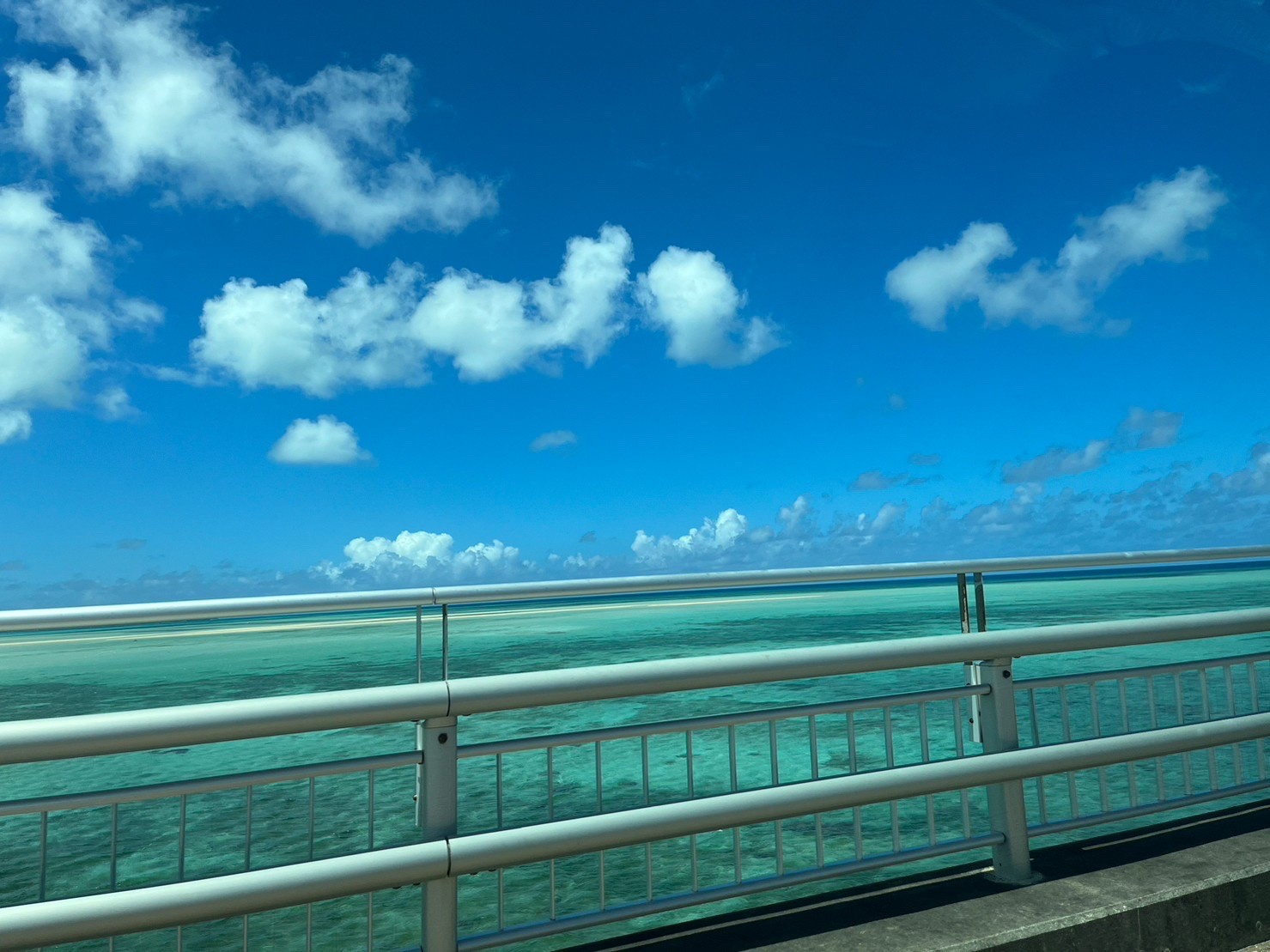 宮古ブルーの画像