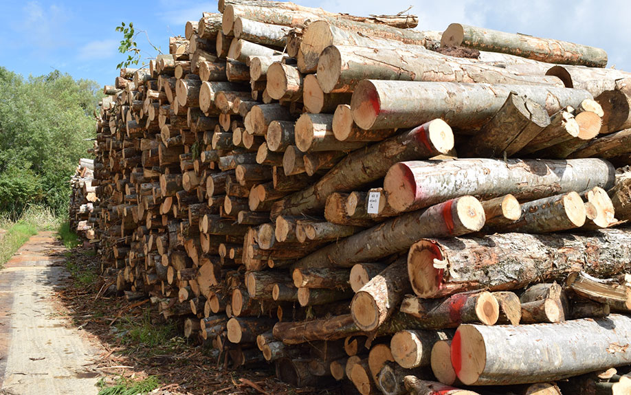 土地活用としての資材置き場とは？メリットと注意点をご紹介！の画像