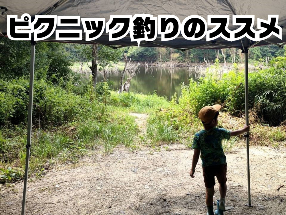 ７月２０日：ピクニック釣りのススメの画像