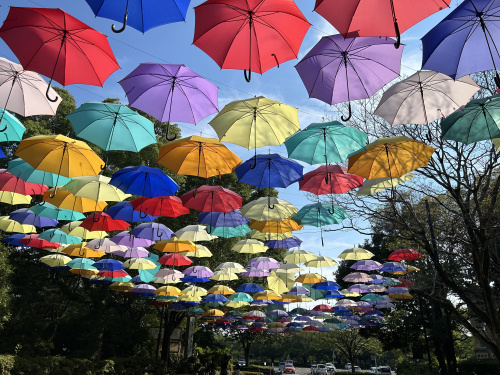 城町アンブレラスカイプロジェクトの画像