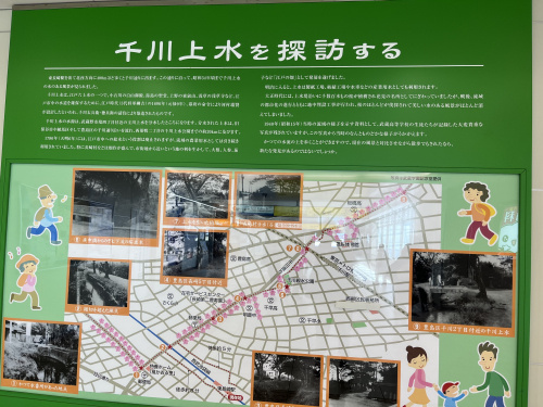 仙川はどんな街？仙川・千川上水と武蔵野台地から地形と地盤を考える｜blue bloodedの画像