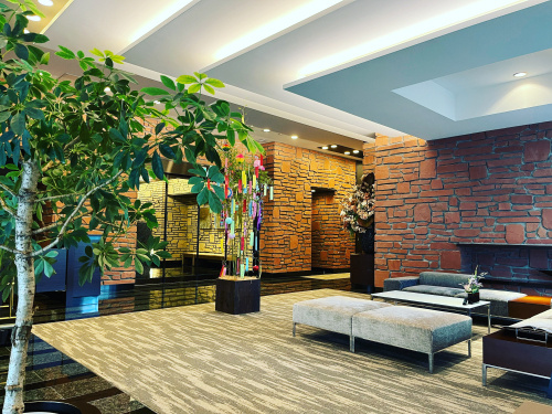 久々ラトゥールの画像