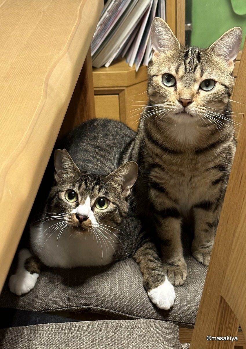 今日から8月の画像