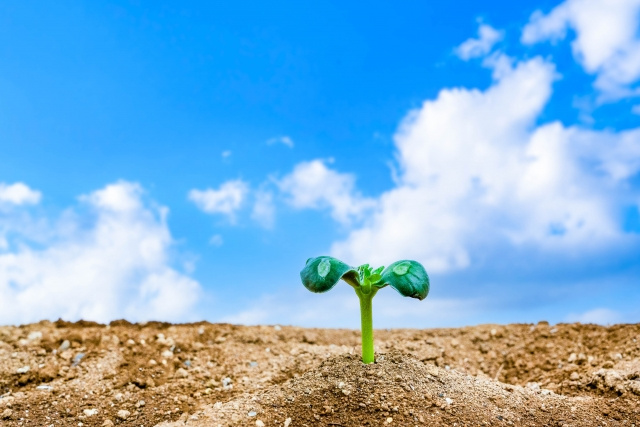 土地の査定方法は？査定額を左右するポイントを解説!!の画像