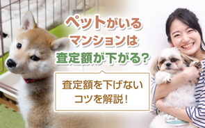 ペットがいるマンションは査定額が下がる？査定額を下げないコツを解説！の画像